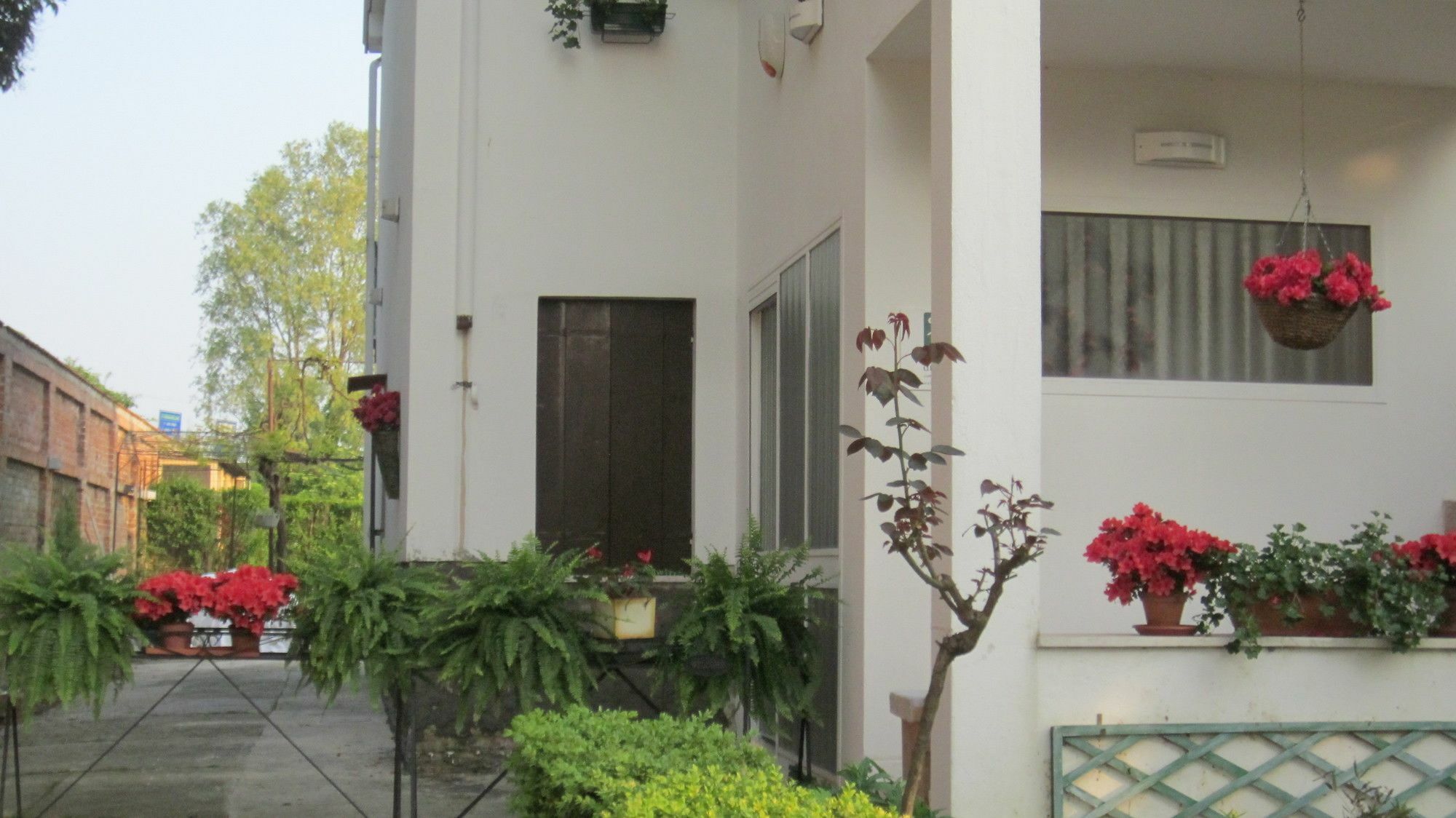 A Casa Di Dora Bed & Breakfast Treviso Eksteriør bilde