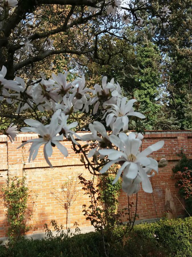 A Casa Di Dora Bed & Breakfast Treviso Eksteriør bilde