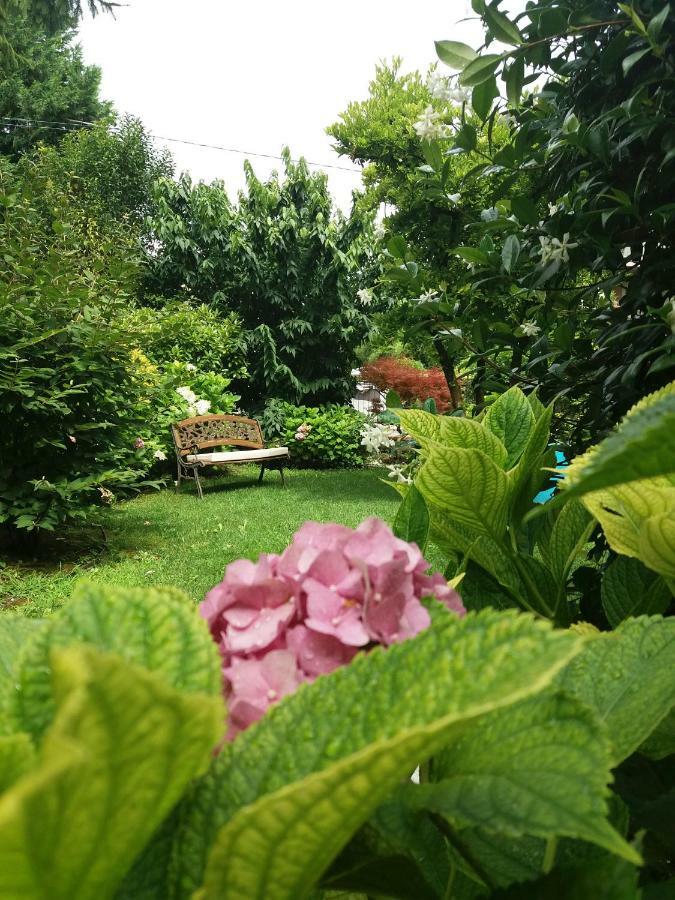 A Casa Di Dora Bed & Breakfast Treviso Eksteriør bilde